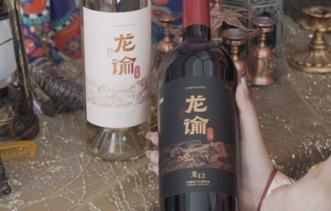 品味至臻：茅台与龙谕巧妙搭配，高雅送礼之选