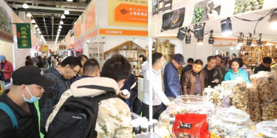 2024第23届上海国际茶博会正唱响万亿市场开门红