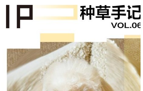 「小猫小狗书」助品牌玩转亚宠展，精准渗透养宠人群